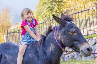 Hotel Miravalle per bambini tra Comano Terme e Molveno per famiglie, l'asinella Carolina