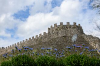 Fiori nella Rocca a Lonato del Garda (BS)