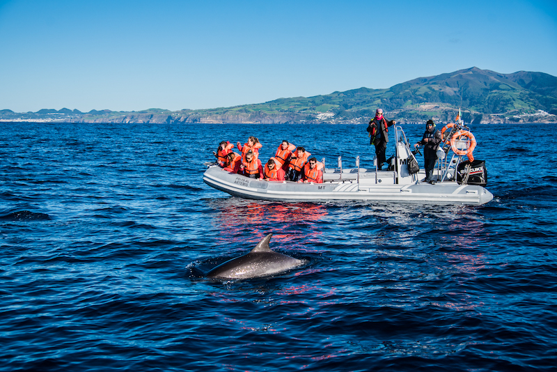 Azzorre_family_Whale Watching_phVisitazores
