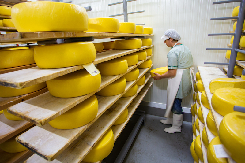 Azzorre_Cheese Factory