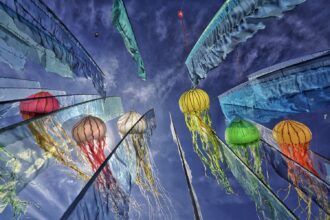 Festival Internazionale dell'Aquilone di Cervia.