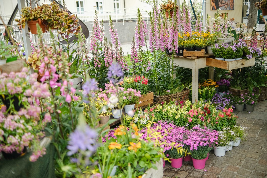 Merano Flower Festival ph. Fabio Rubini KV Meran