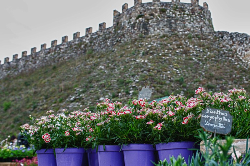 Fiori nella Rocca, Lonato del Garda (BS)