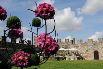 Fiori nella Rocca a Lonato del Garda (BS)
