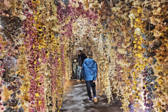 Flowers_phMRosellini