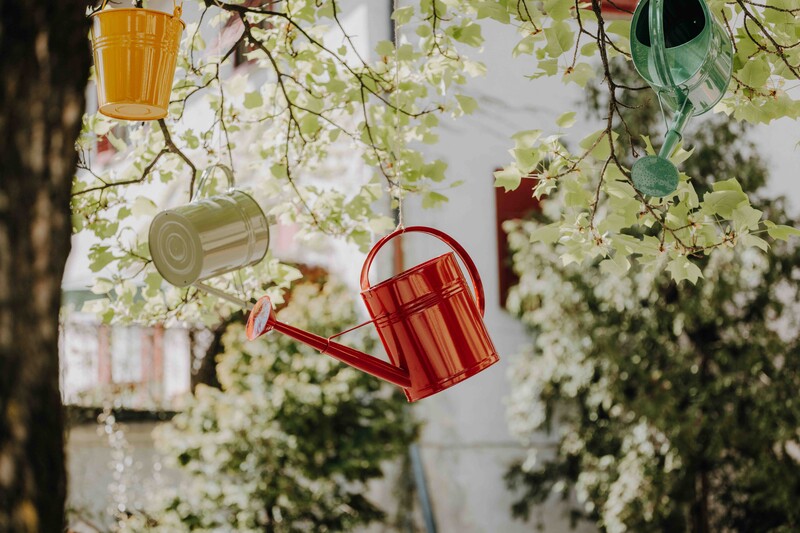 Lana in fiore: annaffiatoi di zinco