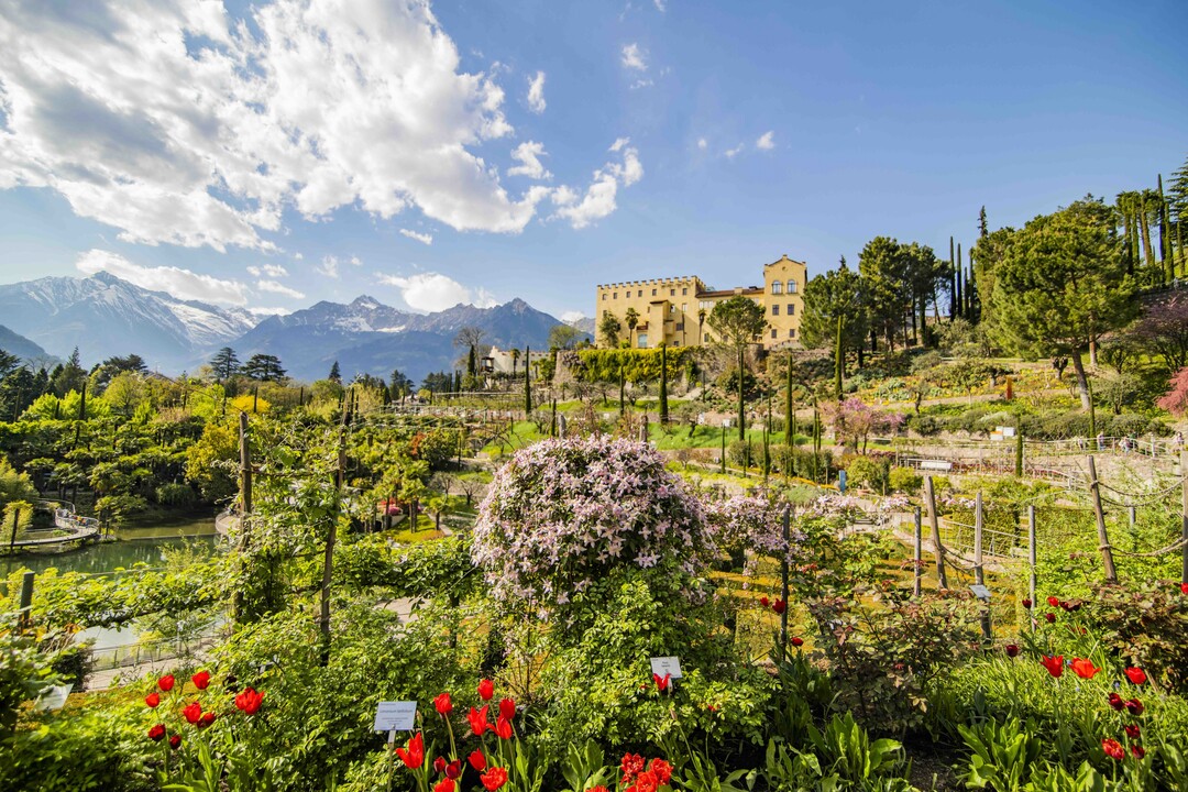 Merano Flower Festival: i Giardini Trauttmansdorff ph. Karlheinz Sollbauer