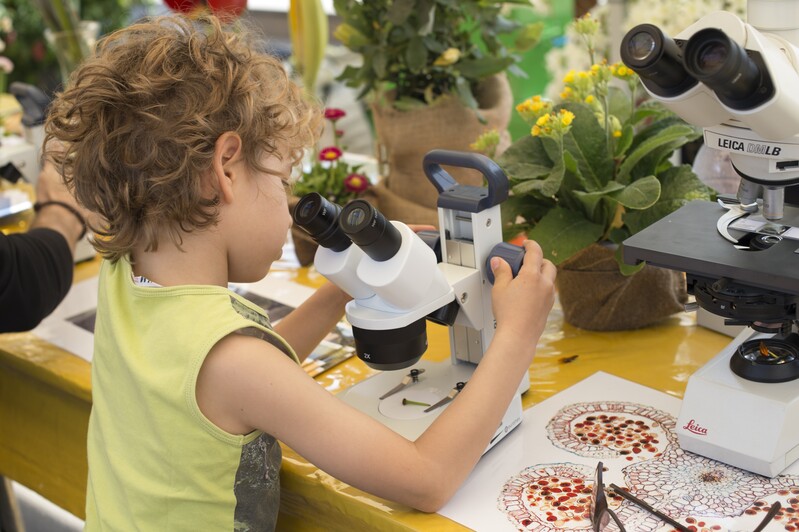 Merano Flower Festival: laboratori per bambini © Karlheinz Sollbauer