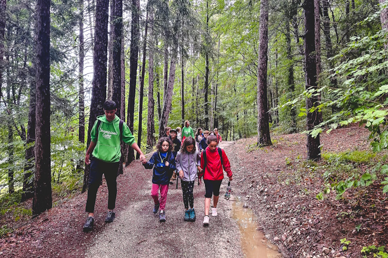 Natura Summer Camp 