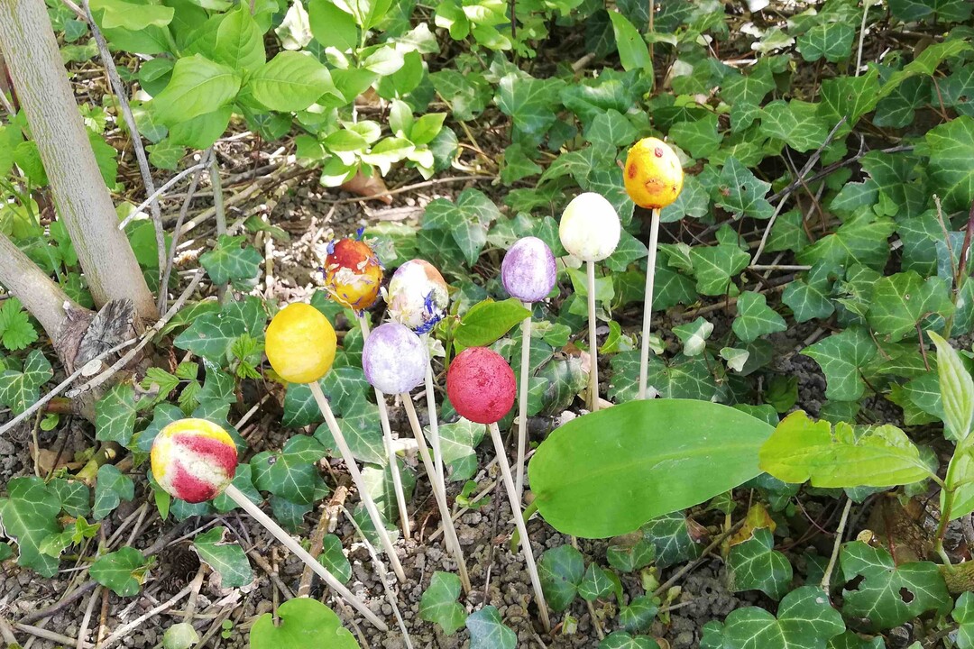 Caccia al Tesoro Botanico di Pasquetta ai Giardini di Castel Trauttmansdorff