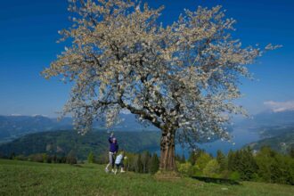 Primavera e Pasqua in Carinzia