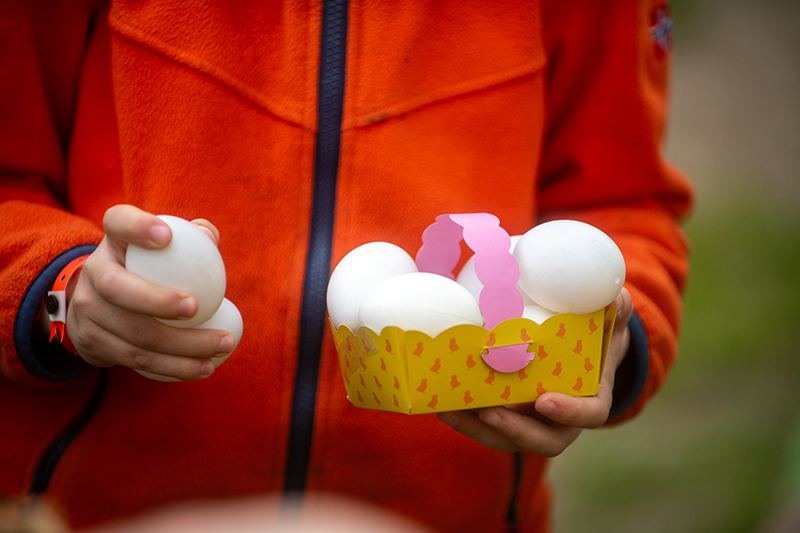 Caccia alle uova di Pasqua con bambini in Veneto, Parco Sigurtà
