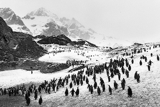 Ghiacciai_Sebastião SALGADO