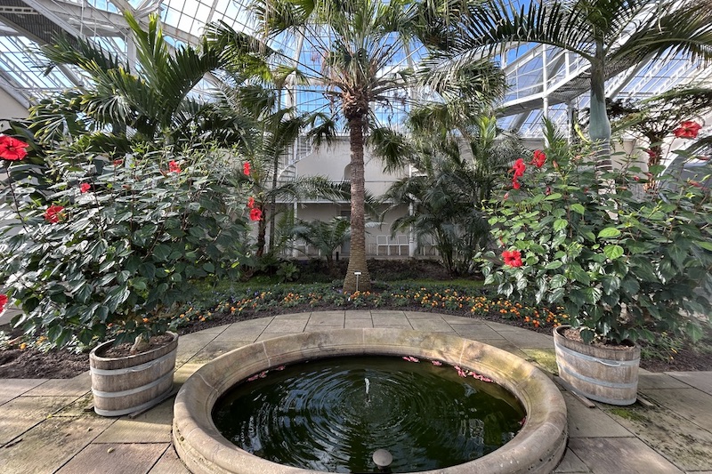 Dresda_Pillnitz_palmenhaus_phGrottoM