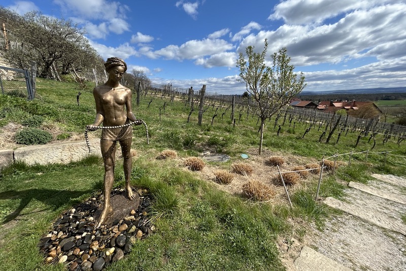 Dresda_Pillnitz_vigneti_statue_phGrottoM