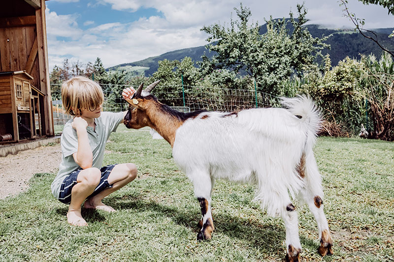 Piccola fattoria al Das Muhlwald Quality Time Family Resort