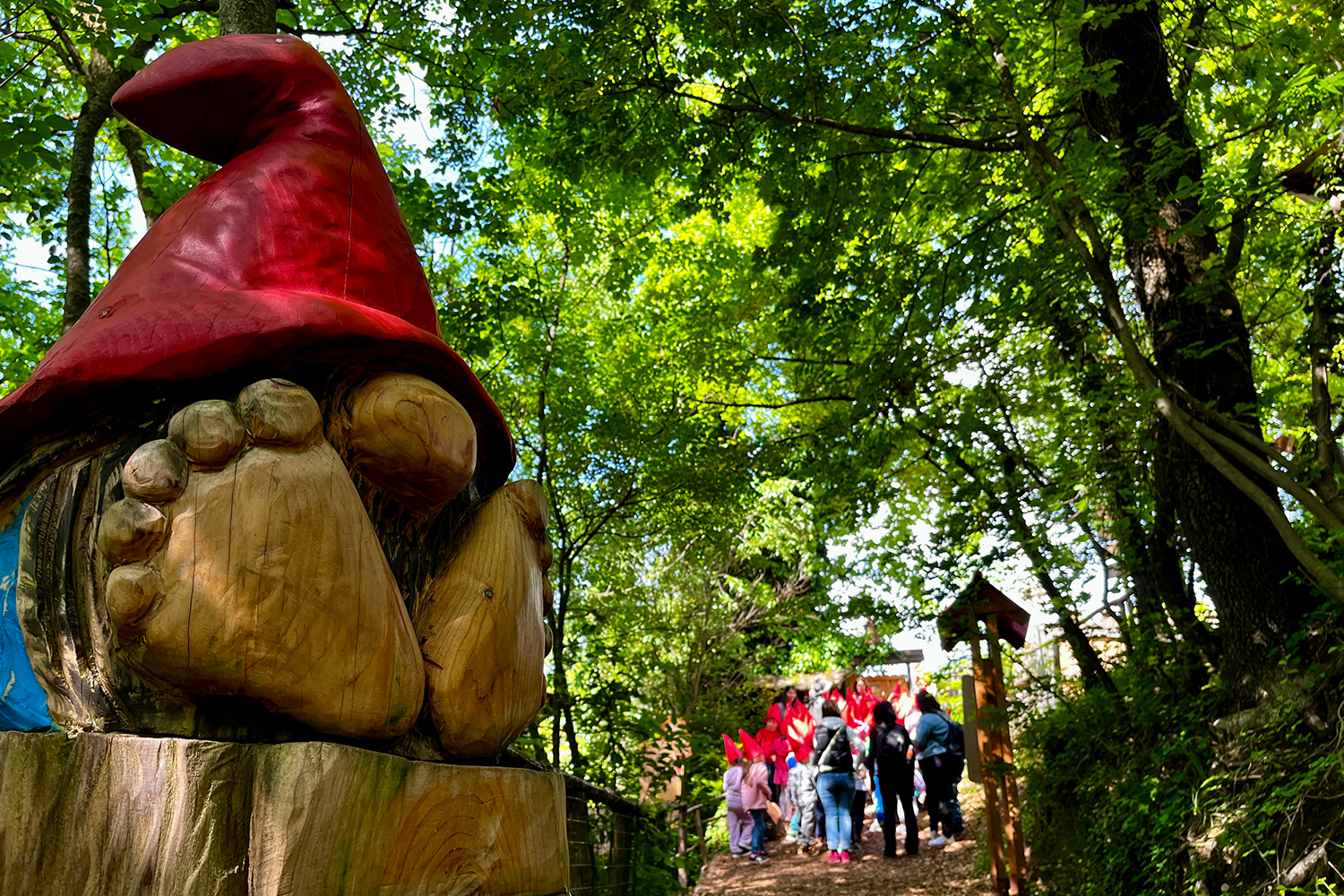 Giocabosco, il bosco incantato abitato da simpatici gnomi di legno