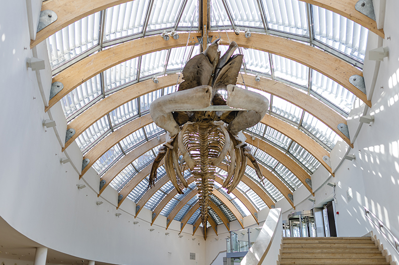 Museo di Storia Naturale © Visit Hungary