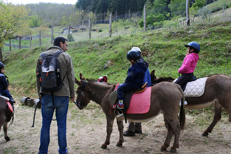 Trekking con gli asini in Toscana