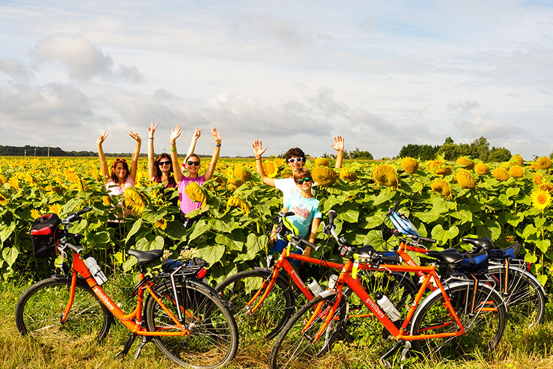 Itinerario Loira Girolibero per famiglie, campi di girasoli