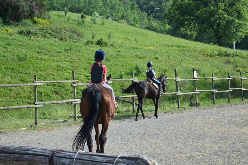Agriturismo con maneggio Siena, Podere Tremulini, a cavallo