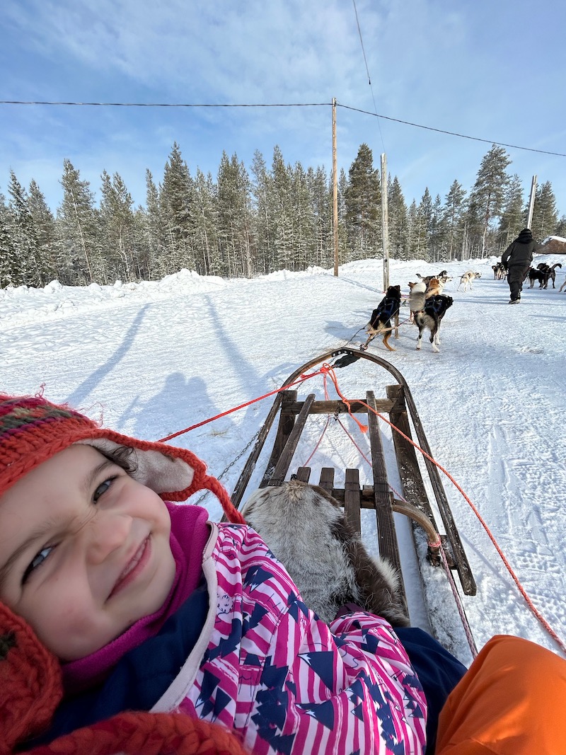 Rovaniemi_Bearhill_husky_slitta_husky_phGrottoM