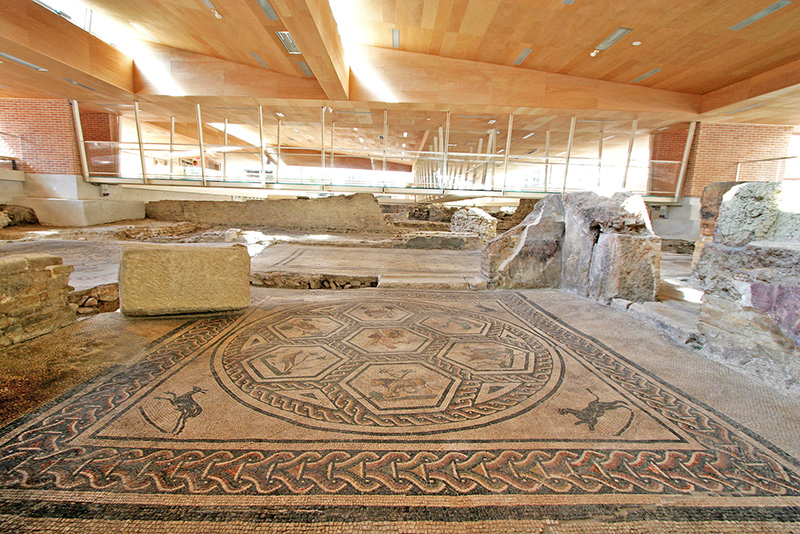 Domus del chirurgo a Rimini, da visitare con i bambini