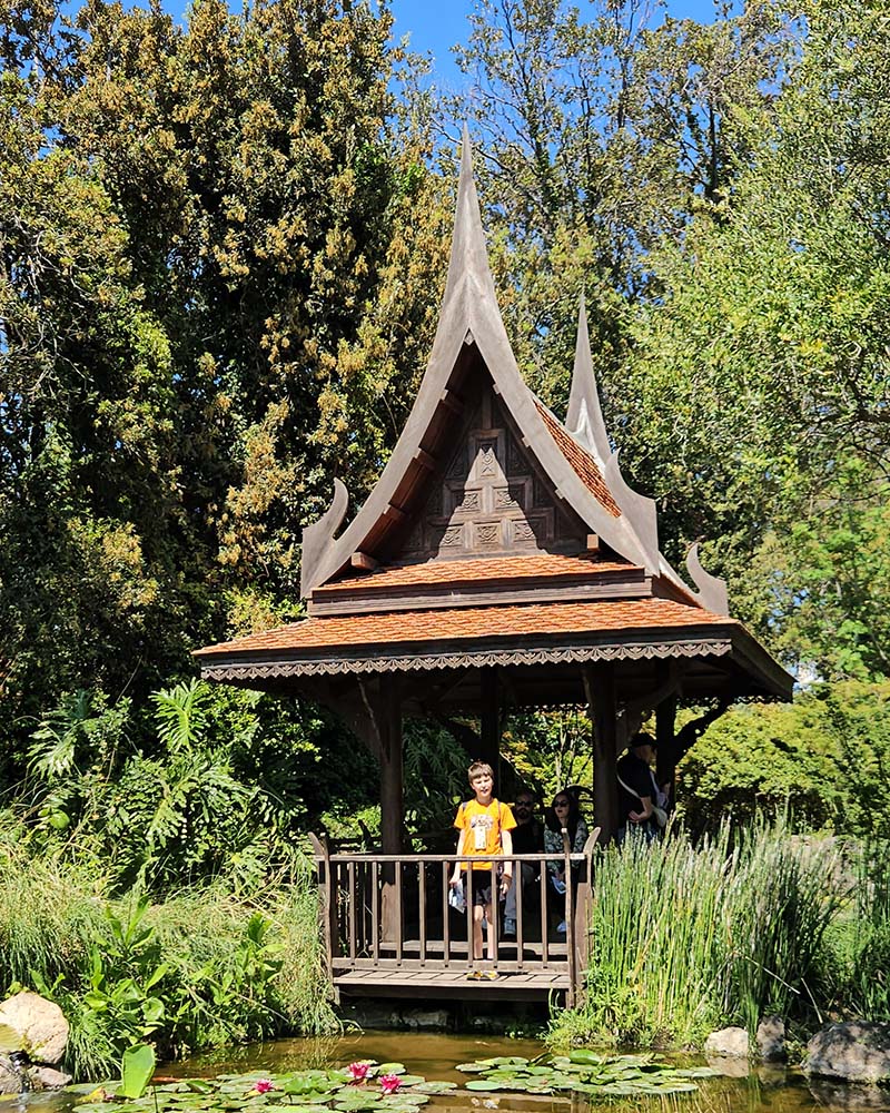 I Giardini La Mortella di Ischia con i bambini, Zona Thai
