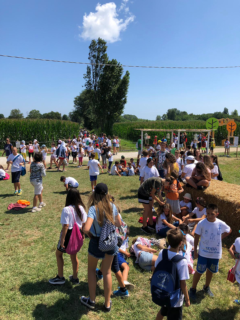 Labirinto di Hort, attività per famiglie