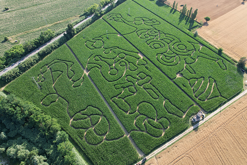 Una delle versioni de Il Labirinto di Hort
