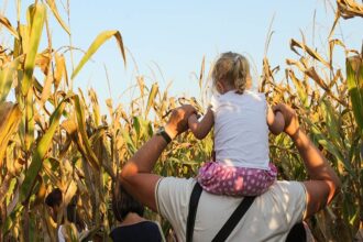 Il Labirinto di Hort a Senigallia (AN)