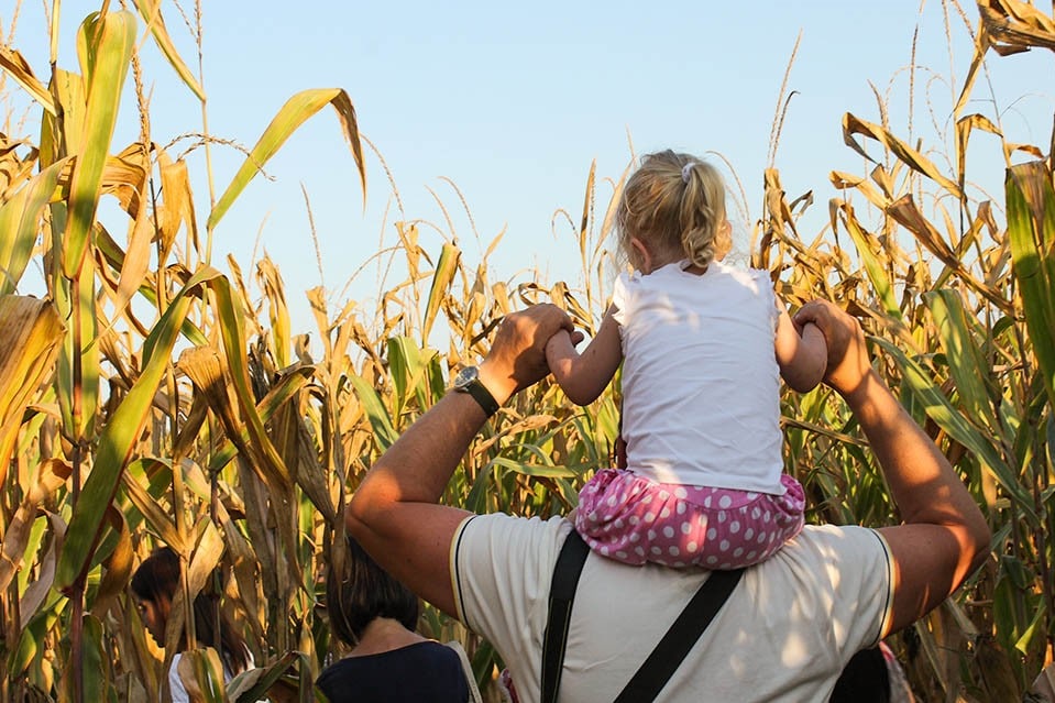Il Labirinto di Hort a Senigallia (AN)