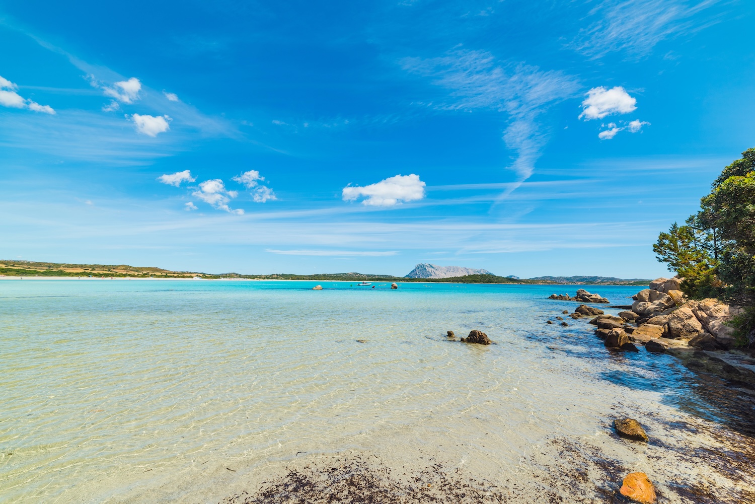 Spiagge di San Teodoro: Cala Brandinchi
