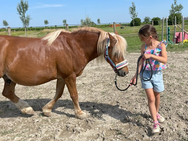 Labirinto di Lavanda Tenuva Va Oltre (Padova) attività con i pony