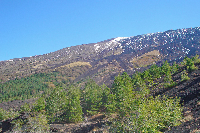 Paesaggio vegetale in quota