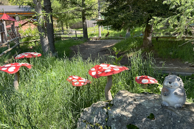 Wonderwood area libera giardino