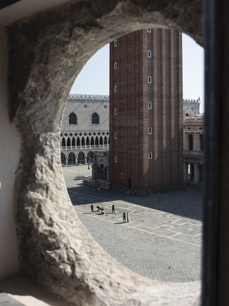 THSN, veduta di Piazza San Marco da The Home of the Human Safety Net