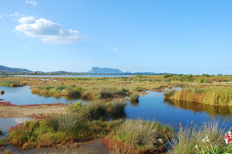 La laguna di San Teodoro, Sardegna