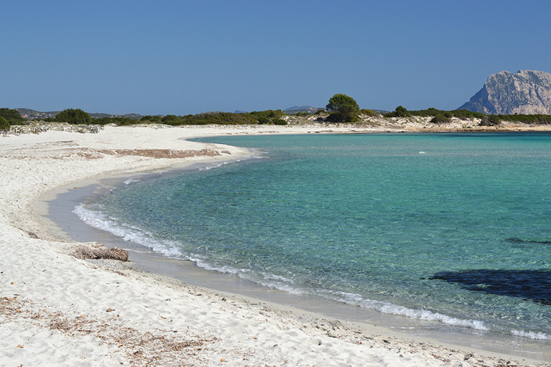 Vista sulla spiaggia di Isuledda a San Teodoro