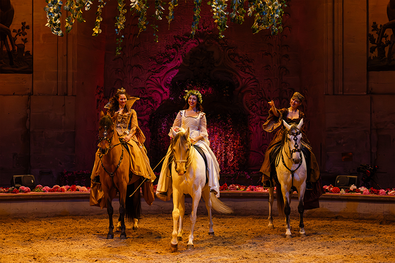 Spettacolo equestre
