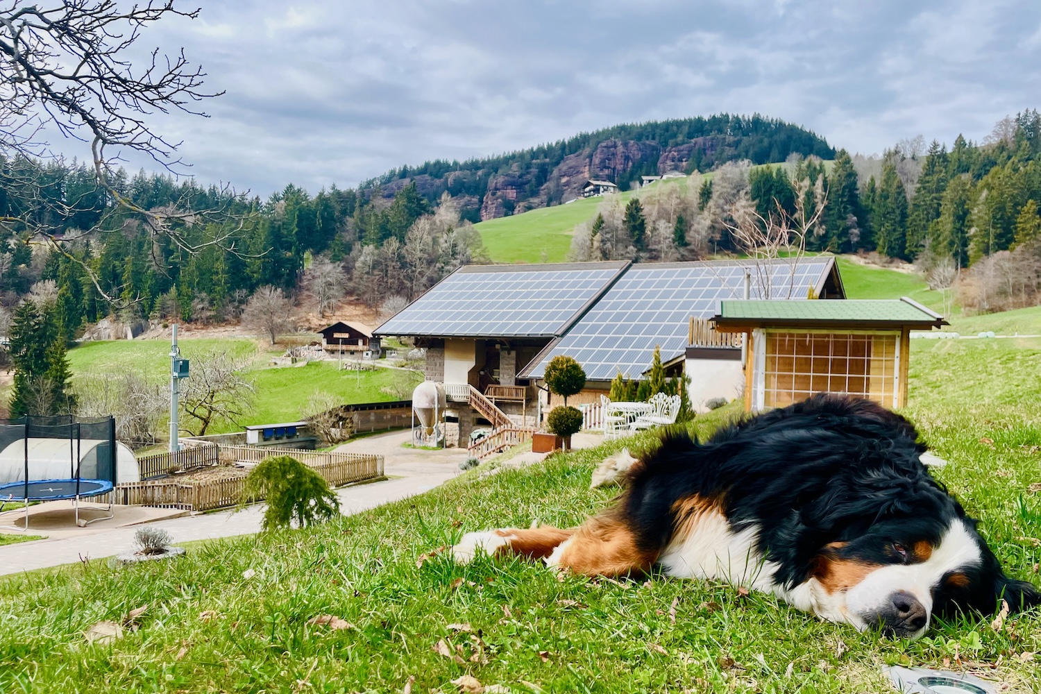 Masi del Gallo Rosso: Agriturismo Thalerhof a Verano