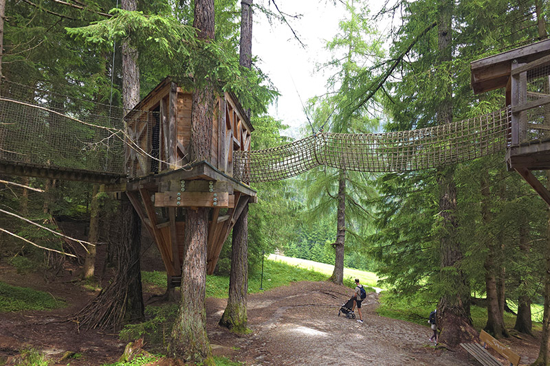 Stubai, Schlick2000, case sugli alberi