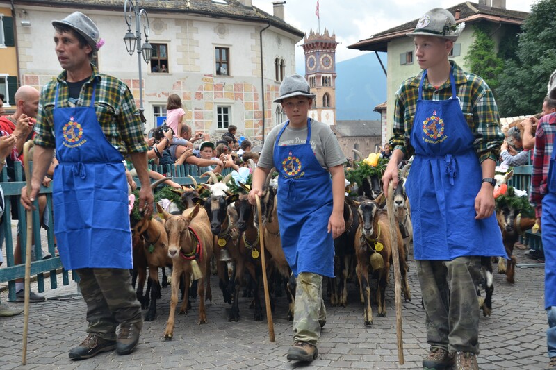 Cavalese: la desmontegada de le caore ©Luca-Xodo