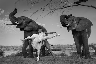 Dancing with nature- Ruggero Rosfer