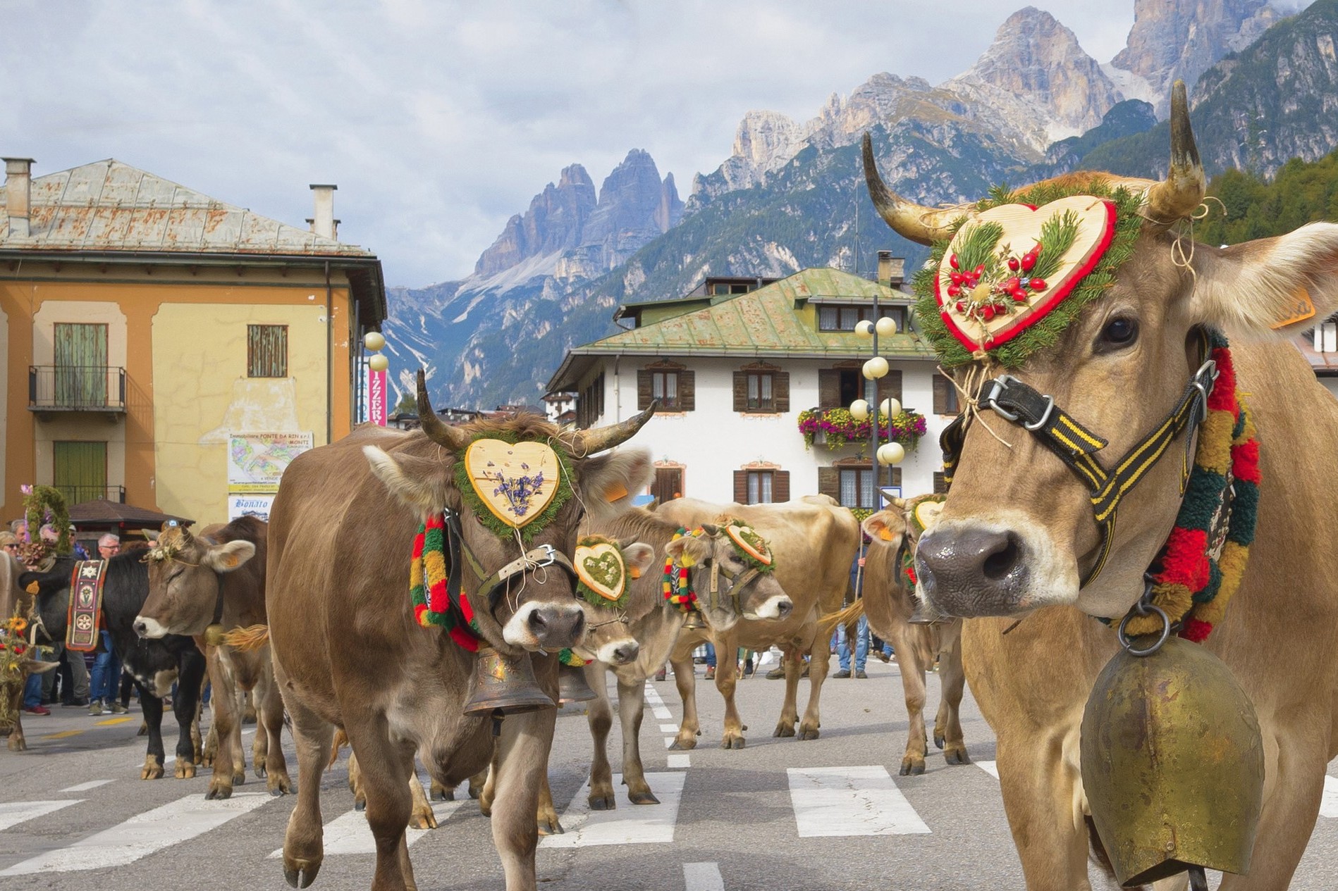 La Desmonteada di Auronzo di Cadore (BL) ph. Cons. tur. Tre Cime Dolomiti