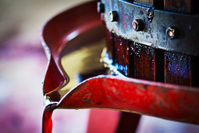 La Festa della Vendemmia di Pachino