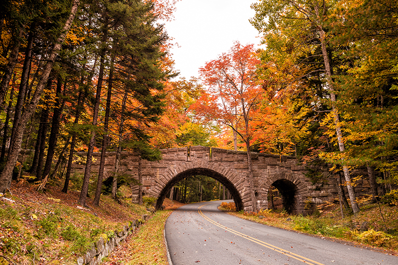 Acadia National Park, Maine © Depositphotos / f11photo