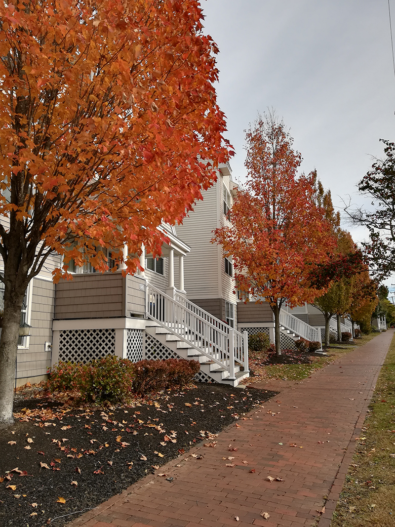Foliage autunnale in New England