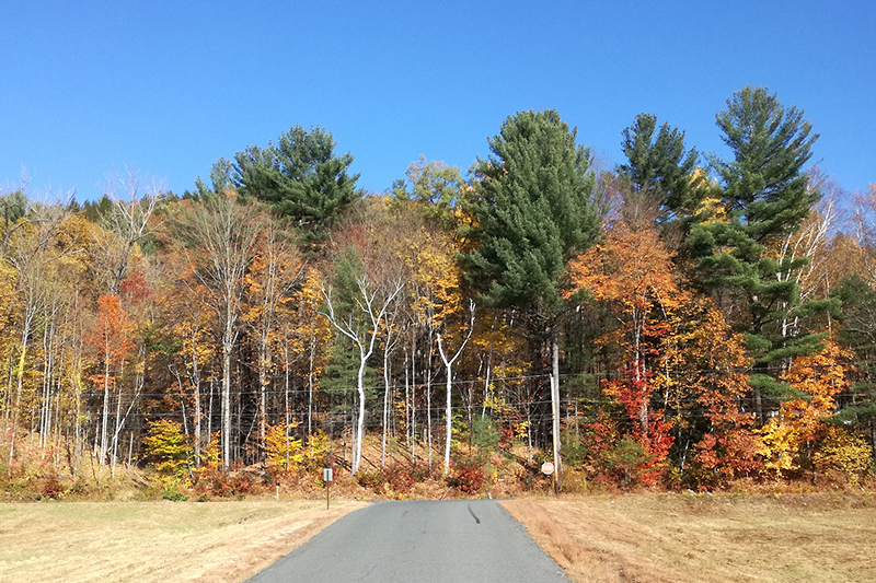 Autunno in Vermont