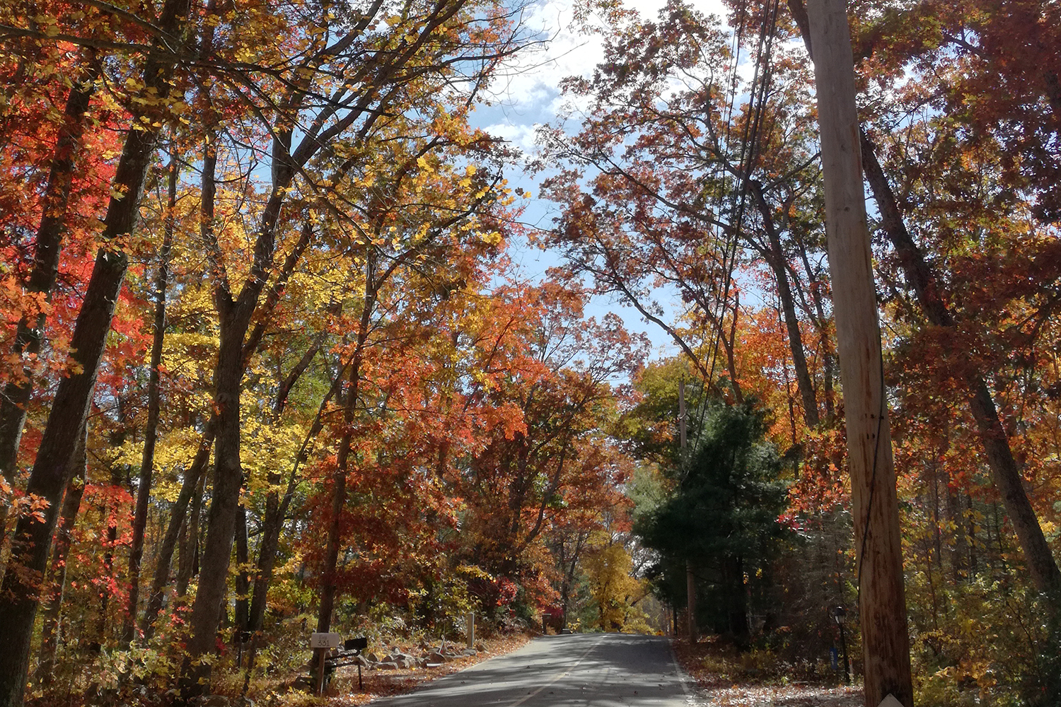 Viaggio on the road in New England in autunno